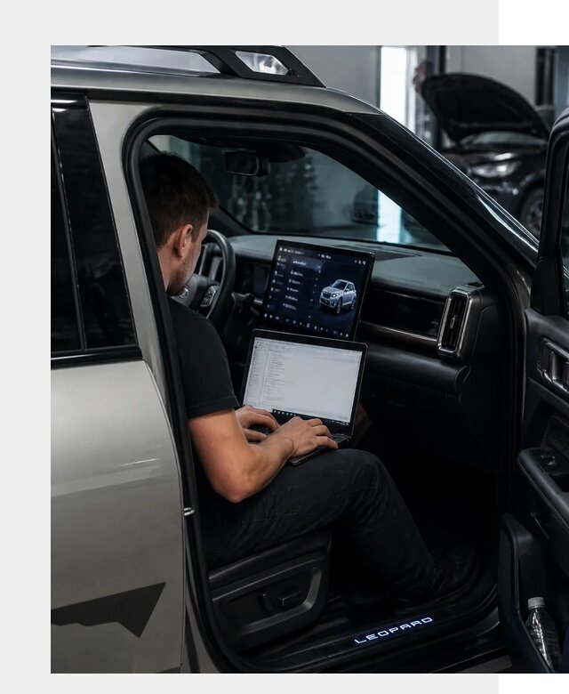 Русификация BYD Leopard 3 в Урюпинске по цене от 20499 р. | ФастМобиль-Рюп